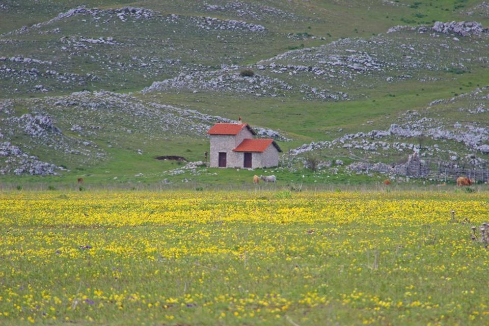 La Stella Danzante B&B Camerata Vecchia Luaran gambar